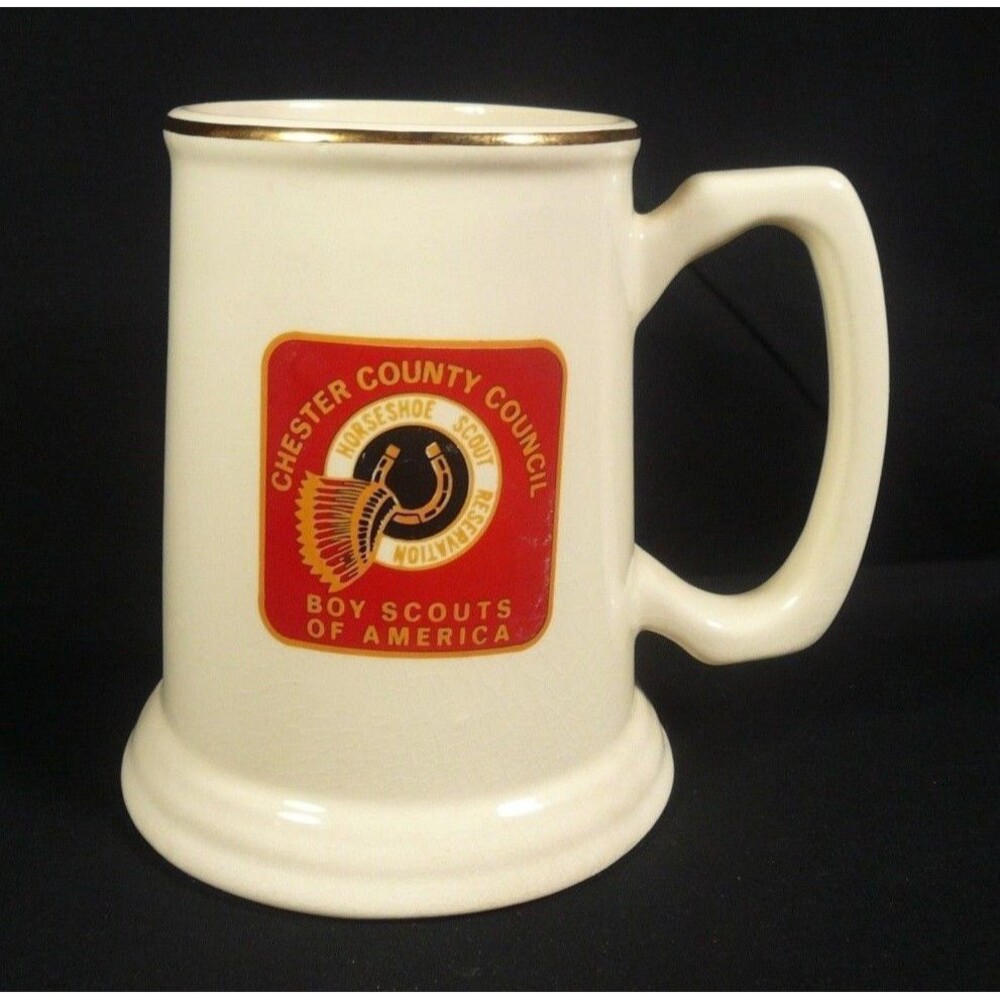 Vintage Boy Scouts of America Large Mug Chester County Council USA